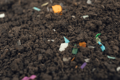 Entenda como a Saúde Única, segundo João Eustáquio De Almeida Junior, conecta agro e microplásticos em um debate essencial para o futuro.