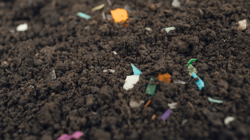 Entenda como a Saúde Única, segundo João Eustáquio De Almeida Junior, conecta agro e microplásticos em um debate essencial para o futuro.